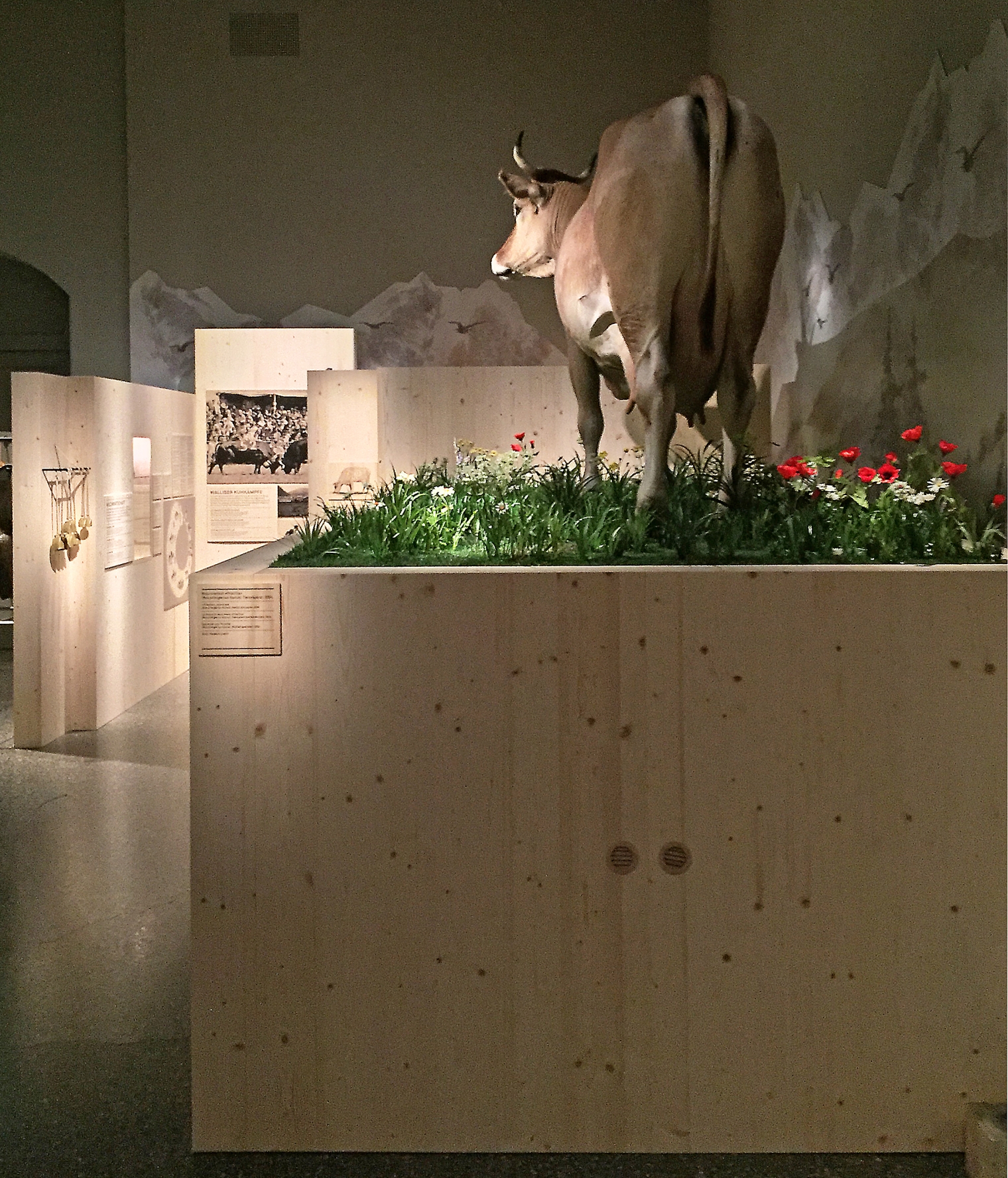 Ausstellung: Tierisch schweizerisch im Schweizerisches Nationalmuseum Zürich. Szenografie und Gestaltungskonzept von Martina Nievergelt