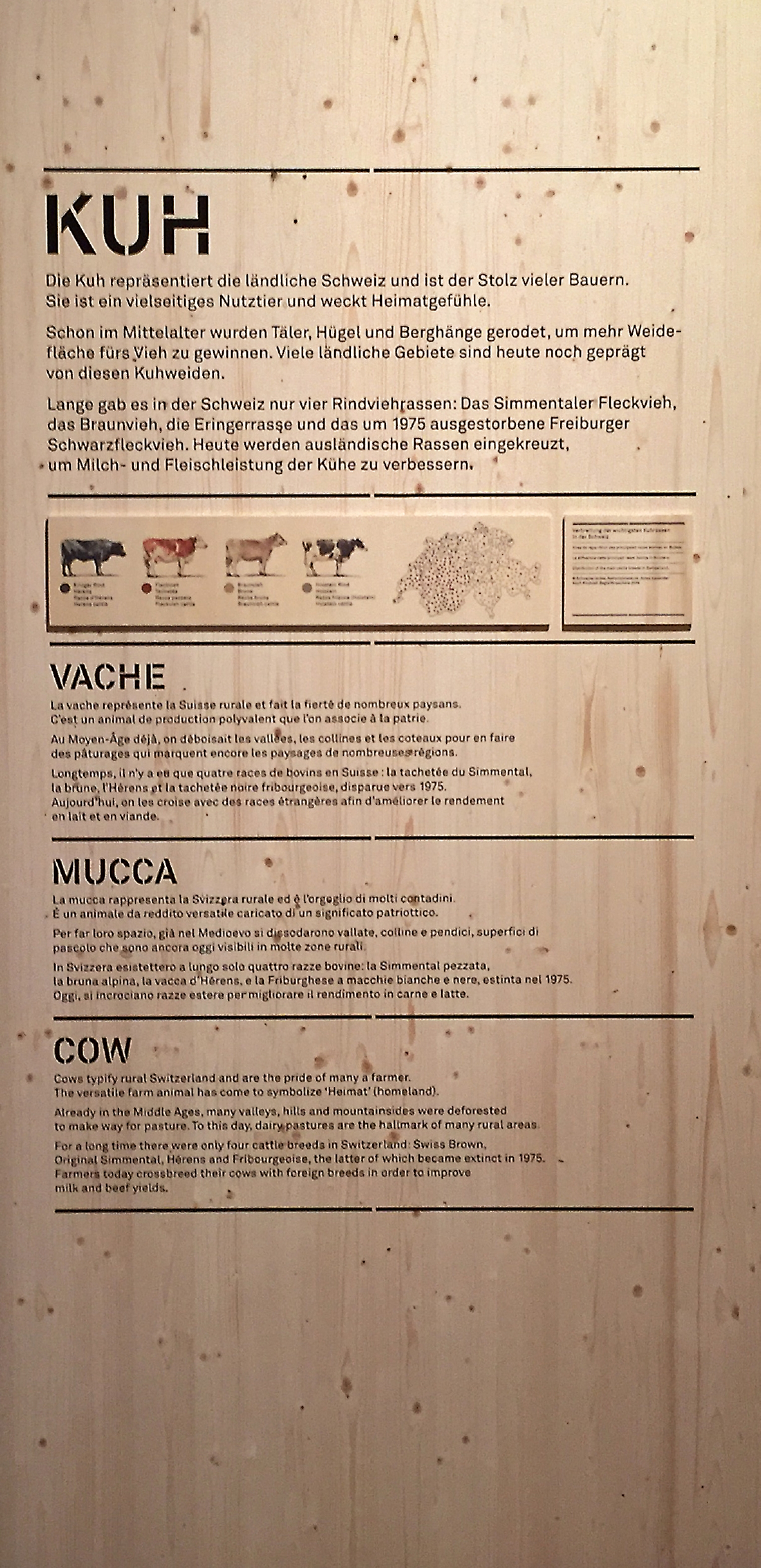 Grafik für die Ausstellung: Tierisch schweizerisch im Schweizerisches Nationalmuseum Zürich. Szenografie und Gestaltungskonzept von Martina Nievergelt