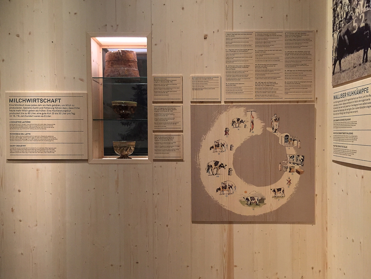 Wanddetail der Ausstellung: Tierisch schweizerisch im Schweizerisches Nationalmuseum Zürich. Szenografie und Gestaltungskonzept von Martina Nievergelt