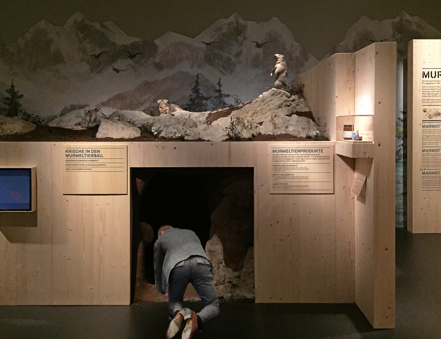 Erlebnisboxen zum Thema Murmeli für die Ausstellung: Tierisch schweizerisch im Schweizerisches Nationalmuseum Zürich. Szenografie und Gestaltungskonzept von Martina Nievergelt