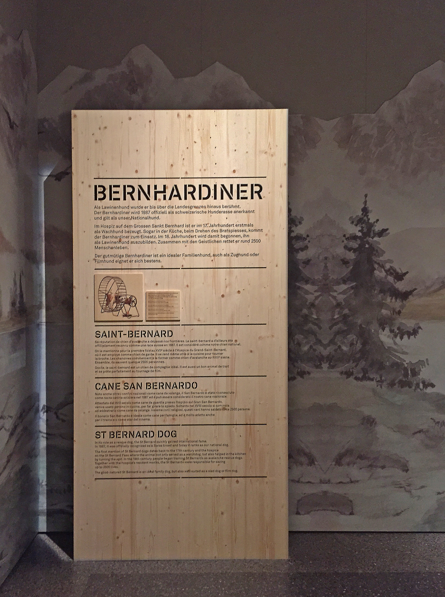 Ausstellung: Tierisch schweizerisch im Schweizerisches Nationalmuseum Zürich. Szenografie und Gestaltungskonzept von Martina Nievergelt