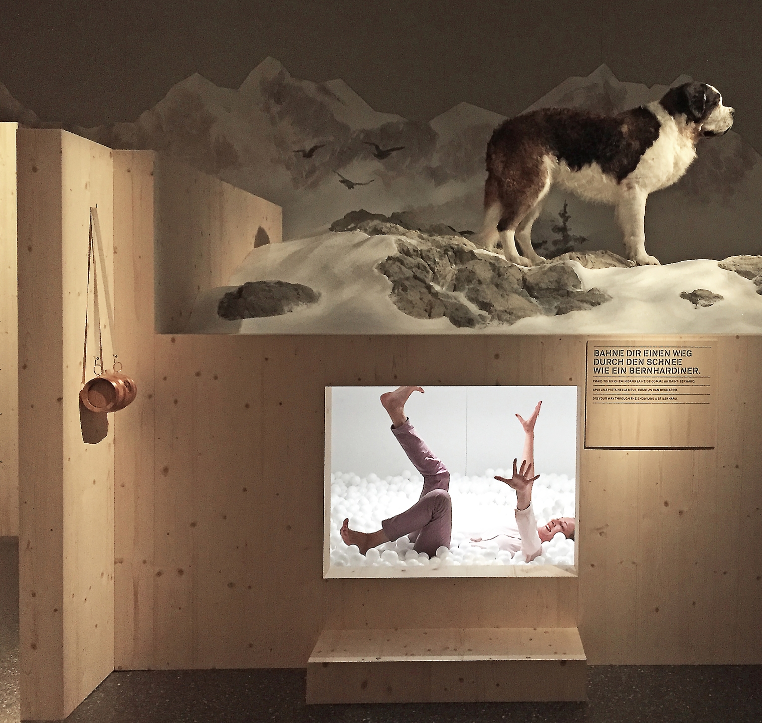 Erlebnisboxen zum Thema Bernhardiner Hund für die Ausstellung: Tierisch schweizerisch im Schweizerisches Nationalmuseum Zürich. Szenografie und Gestaltungskonzept von Martina Nievergelt