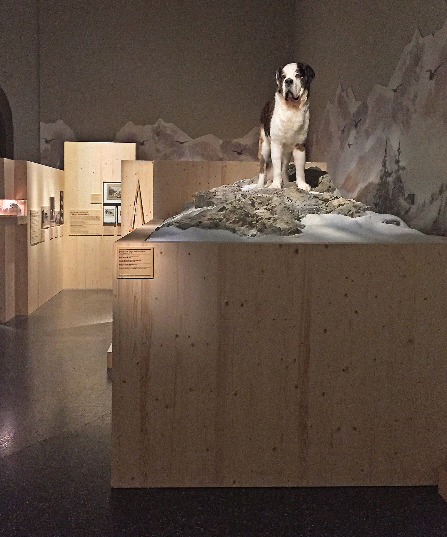 Ausstellung: Tierisch schweizerisch im Schweizerisches Nationalmuseum Zürich. Szenografie und Gestaltungskonzept von Martina Nievergelt