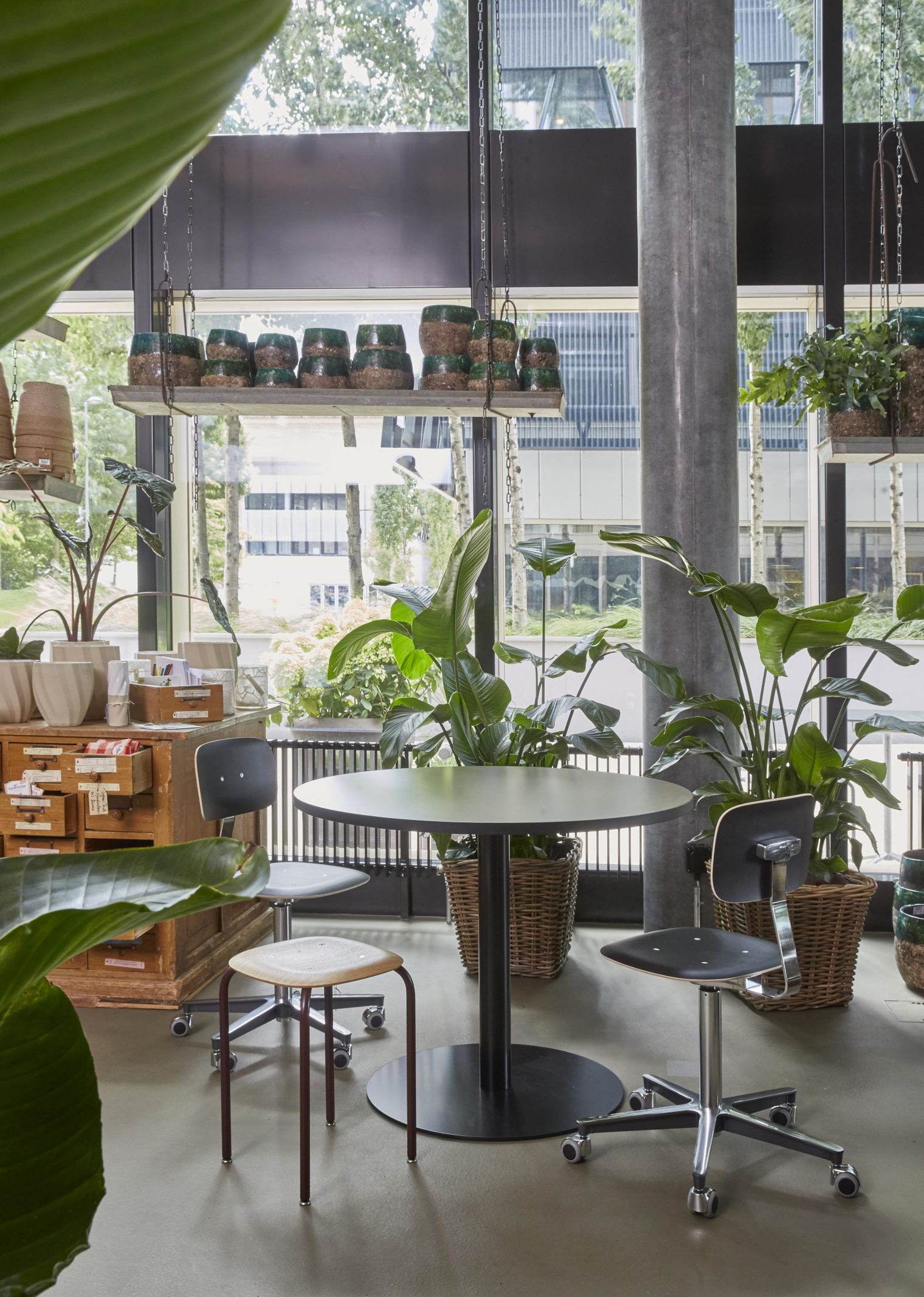 Interior. zum wilden Gärtner Pflanzen Gärtnerei. Store. Interior Design und Gestaltungskonzept von Martina Nievergelt. Fotografie von Sava Hlavacek