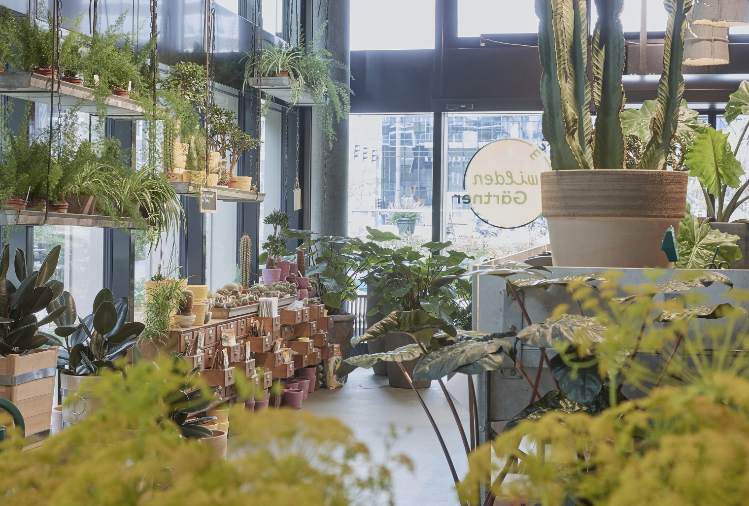 Interior. zum wilden Gärtner Pflanzen Gärtnerei. Store. Interior Design und Gestaltungskonzept von Martina Nievergelt. Fotografie von Sava Hlavacek