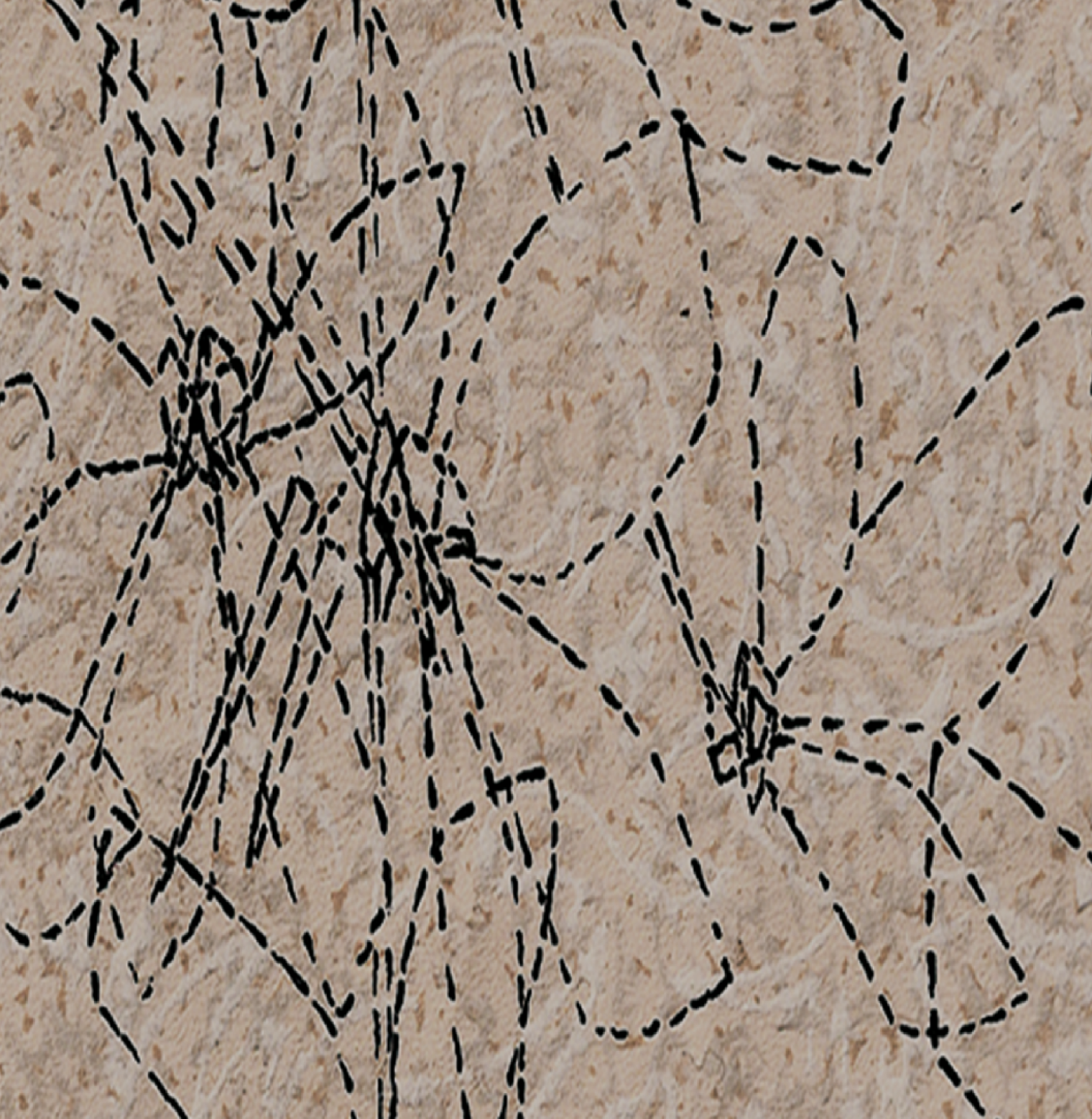 Raumvisualisierung. Detailansicht. Wandgestaltung Individuelle Tapete in deinem Raum. Einzelanfertigung. Tapetendesign von Martina Nievergelt