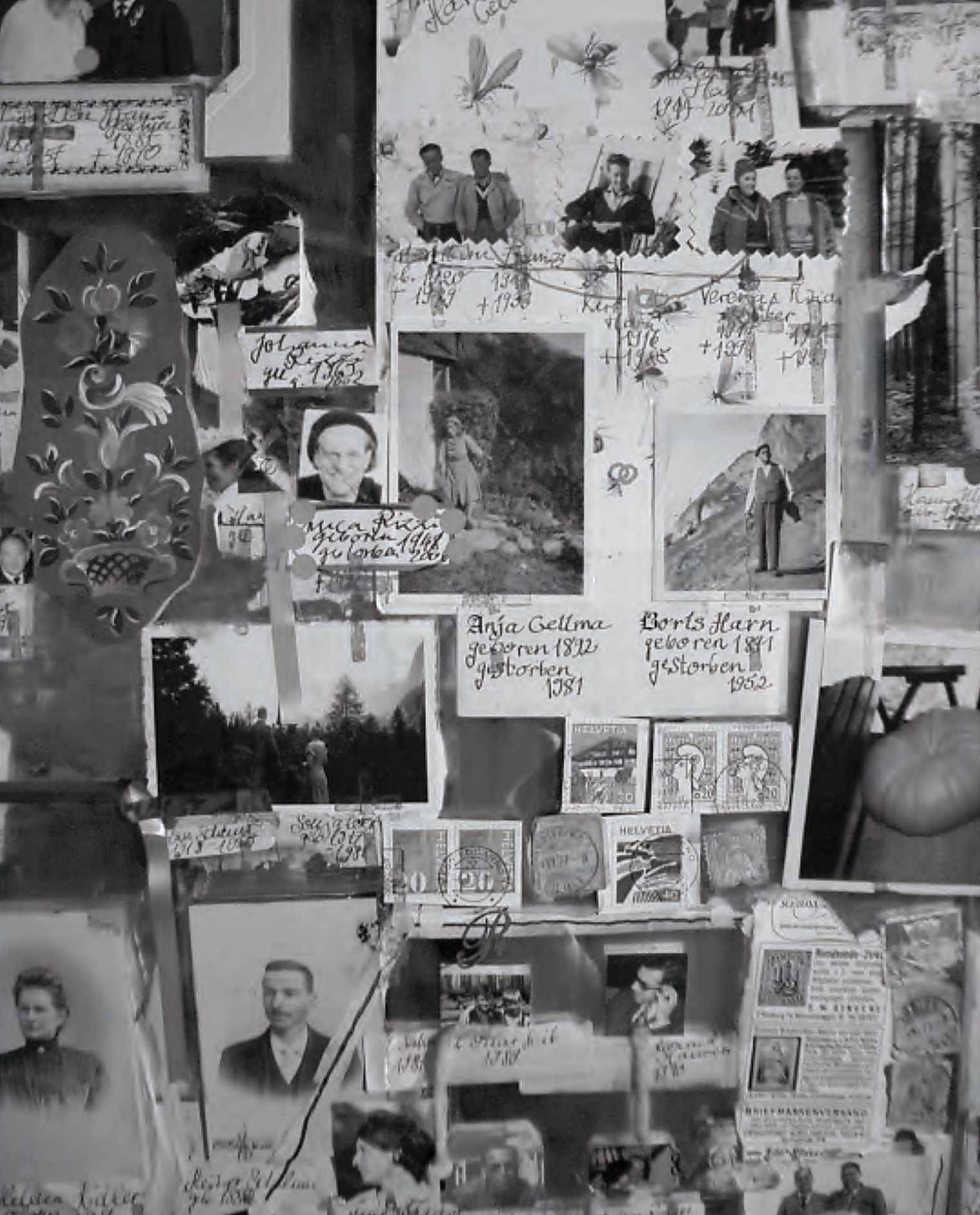 Familienstammbau Bildcollage